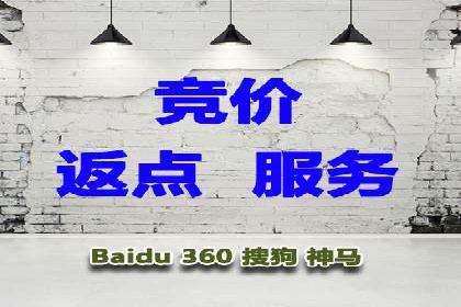 SEM竞价案例深度解析：广告主如何盈利